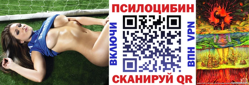 Псилоцибиновые грибы GOLDEN TEACHER  Северо-Курильск 